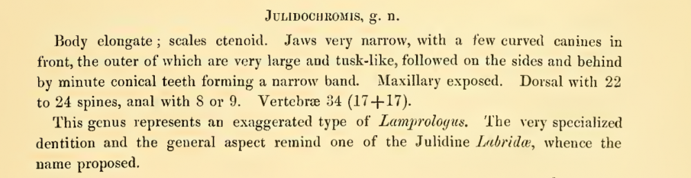 julidochromis.thumb.PNG.4d976e695ed831eea6261b156ee33c36.png